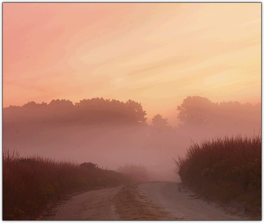Pastel Horizon by Dan Sutherland